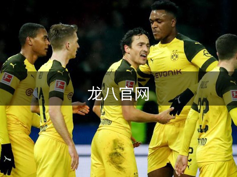 品牌构成