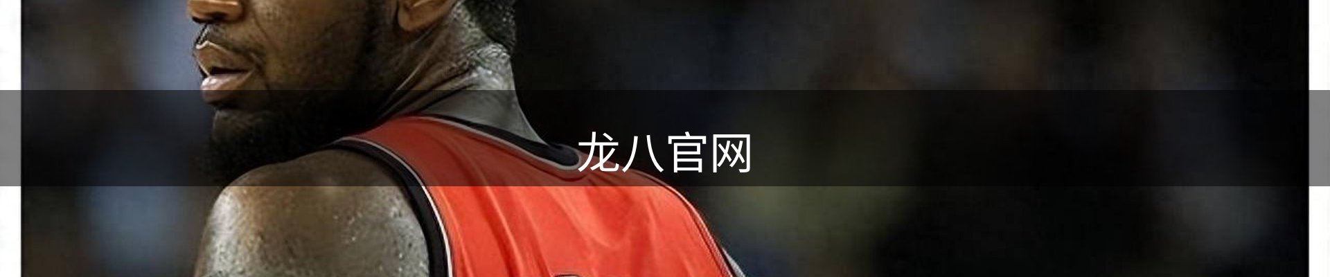 龙八官网